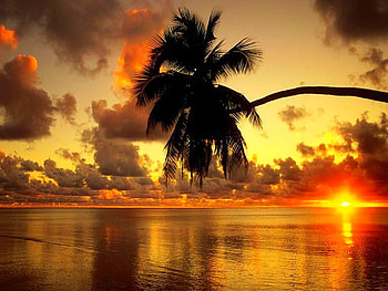 Beauty of Nature, cool HD wallpaper