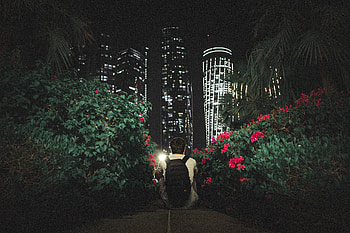 Flowers, Night, Bush, Building, Miscellanea, Miscellaneous, Skyscrapers, Human, Person HD wallpaper
