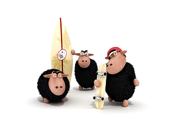 Skateboarding Sheeps, black, skateboards, sheep HD wallpaper