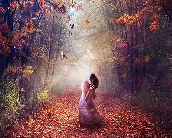 When Despair Sets In, bird, despair, crying, autumn, forest, woman HD wallpaper