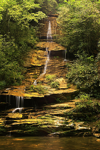 Nature, Trees, Bush, Rocks, Waterfall, Branches HD phone wallpaper