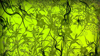 Jungle, summer, black, skin, green, texture, spider, luminos HD wallpaper