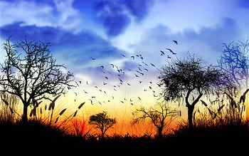 Southbound HD wallpaper