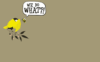 We Do What?!, cute, funny, entertainment HD wallpaper