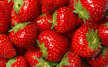 Strawberries, sweet, strawberry, green, red, dessert, fruit, food HD wallpaper