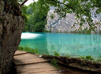 Lake, blue, green, turqouse, tree HD wallpaper