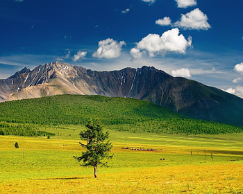 Armenian Landscape, Asia, Europe, Armenia HD wallpaper