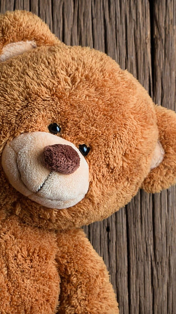 Teddy Bear Ka, Wooden Background HD phone wallpaper