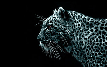 Animals, Art, Leopards HD wallpaper