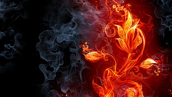 Fire Creative Fire WPRT LanLinGLaureL HD wallpaper