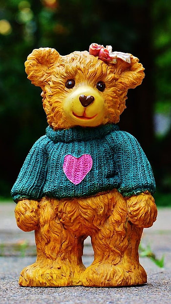 Cute Teddy Bear, Beautiful, Sweater HD phone wallpaper
