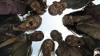 The Walking Dead, Tv Show HD wallpaper