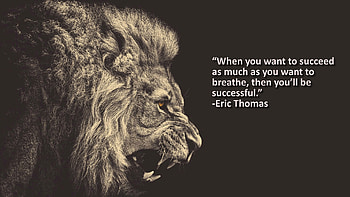Motivation from Spartan Race HD wallpaper