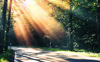 Paradise Natural Fresh, green, paradise, nature, fresh, forest HD wallpaper