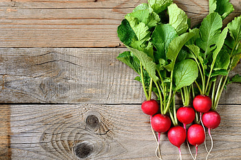 Radishes good guide, Food HD wallpaper