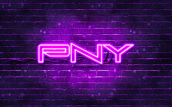 PNY violet logo, , violet brickwall, PNY logo, brands, PNY neon logo, PNY HD wallpaper