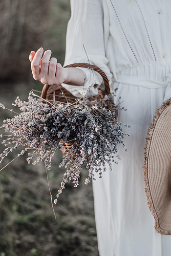 Flowers, Hand, Miscellanea, Miscellaneous, Girl, Basket, Lavender HD phone wallpaper