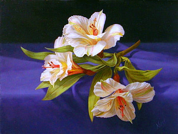 Lilies for JACQELINEla, white, yellow, red, blue background, three, lillies HD wallpaper