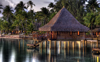 Nature, Water, Palms, Shore, Bank, Blur, Smooth, Small House, Lodge, Tropics, Hut HD wallpaper