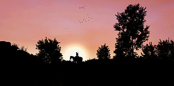 Dawn, horse ride, video game, The Witcher 3: Wild Hunt, sunset HD wallpaper