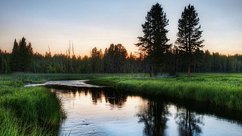 Nature, Rivers, Trees, Grass, Evening HD wallpaper