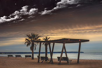 Nature, Sea, Clouds, Palms, Starry Sky, Relaxation, Rest, Evening, Benches HD wallpaper