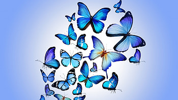 Find out: Vintage Butterfly on http://picorner.com/vintage-butterfly/ | | Pinterest | Vintage butterfly HD wallpaper