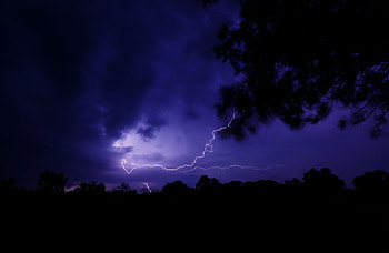 Nature, Lightning, Bush, Branch, Thunderstorm, Storm HD wallpaper