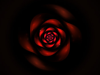 Abstract, Dark, Fractal, Swirling, Involute HD wallpaper