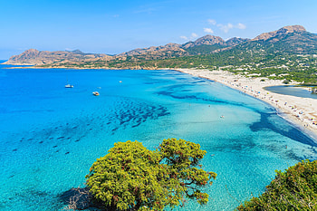 Playas de Crcega, Corsica beaches, Tropical paradise, Exotic shores HD wallpaper