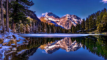 Palpuogna Lake, Switzerland, morning, reflection, snow, trees, water, mountains, alps, ice, winter HD wallpaper