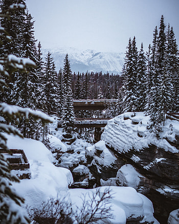 Landscape, Winter, Nature, Trees, Mountains, Snow HD phone wallpaper