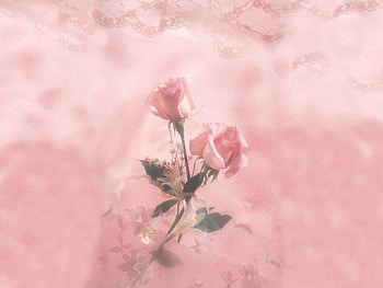 Happy Valentines Day in Pink, valentines, pink, day, roses HD wallpaper