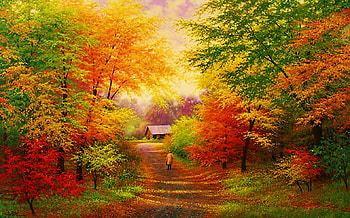 Full color nature, autumn, nature, painting, tree HD wallpaper