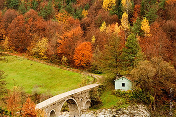 Bulgaria, autumn, coluors, forests, mountain HD wallpaper