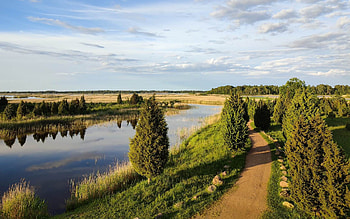 Road to Lake, trees, road, lake, path, Latvia HD wallpaper