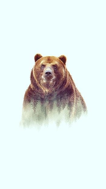 Grizzly Bear, Artistic , Creative , Stunning HD phone wallpaper