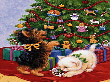 Christmas trouble;), dog, animals, love, christmas, cat, trouble, play HD wallpaper