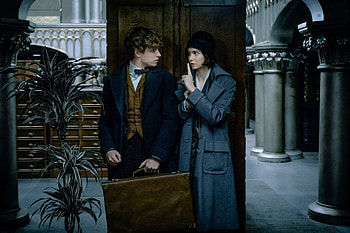 David Yates, Harry Potter franchise, Fantastic Beasts films, J.K. Rowling HD wallpaper