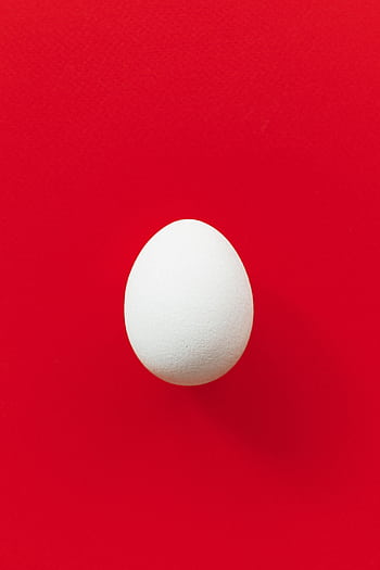 A single white egg centered on a vivid red background, showcasing simplicity. HD phone wallpaper