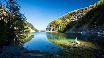 Lake Louise summer, Banff National Park HD wallpaper