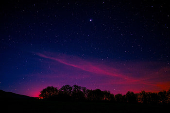 Trees, Universe, Night, Clouds, Starry Sky HD wallpaper
