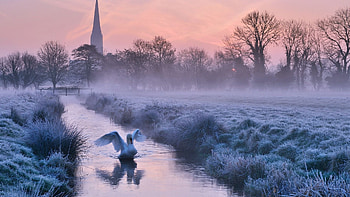 Winter Evening in England, sunset, canal, landscape, fields, trees, swan, church HD wallpaper