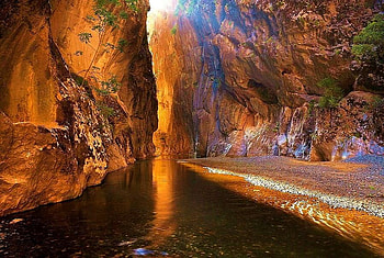 Canyon walls, river, plants, sunlight, colored rock, rock HD wallpaper