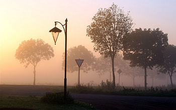 Nature, Trees, Signs, Fog, Lamp, Lantern HD wallpaper