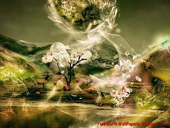 graphy, 3d HD wallpaper
