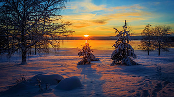 Arvika, Sweden, scandinavia, snow, jandscape, trees, colors, sky, sun, sunset, river HD wallpaper