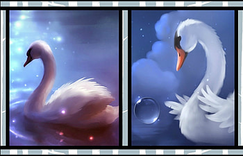Apofiss art (collage), blue, white, black, bird, art, cehenot, collage, pink, feather, fantasy, apofiss, swan, bubble, water, cloud HD wallpaper