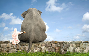Cute Elephant Friend, cute, friend, elephant, animals HD wallpaper