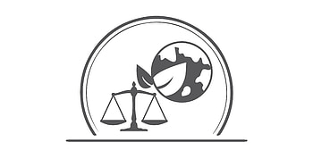 Divergent Candor, Environmental law, Mughal barristers, Lawyers in Pakistan HD wallpaper